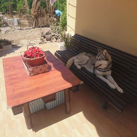 Casita Entre Naranjas Villa Formentera del Segura ภายนอก รูปภาพ