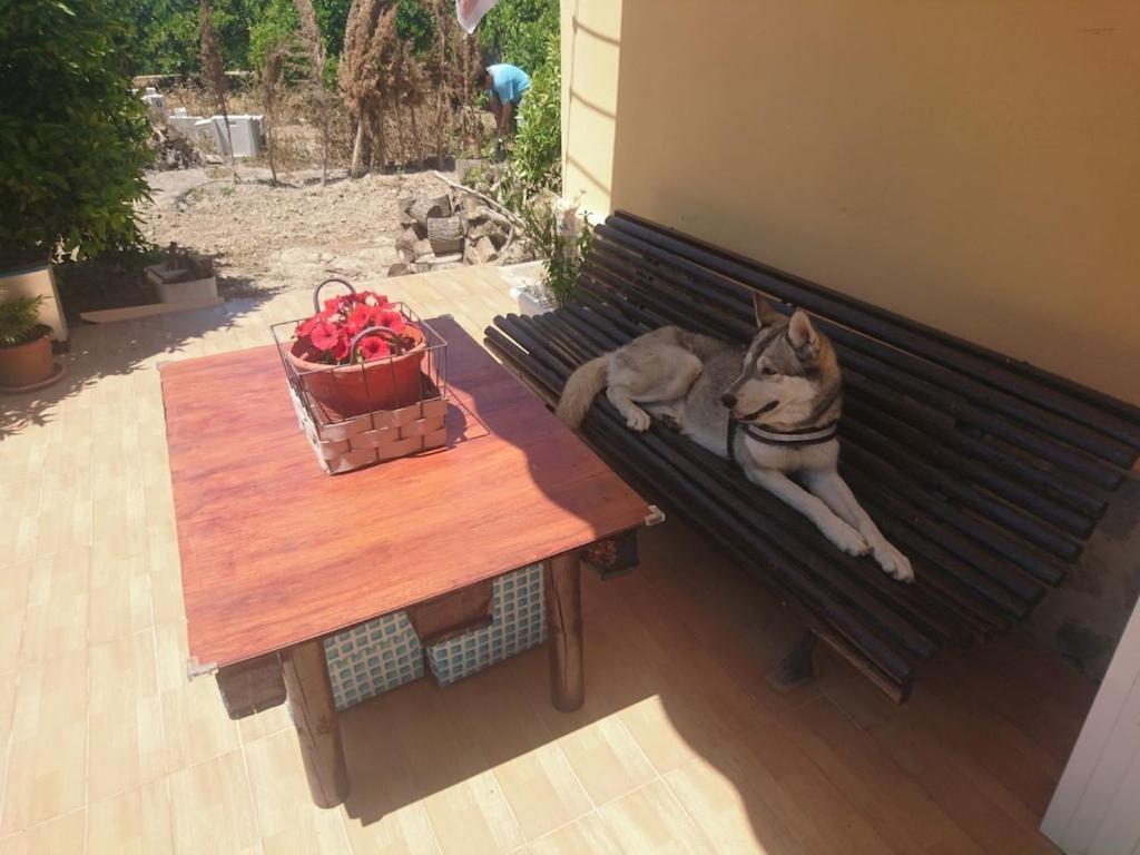 Casita Entre Naranjas Villa Formentera del Segura ภายนอก รูปภาพ